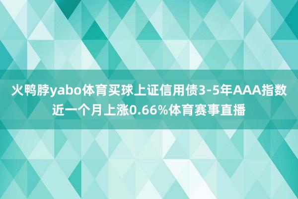 火鸭脖yabo体育买球上证信用债3-5年AAA指数近一个月上涨0.66%体育赛事直播