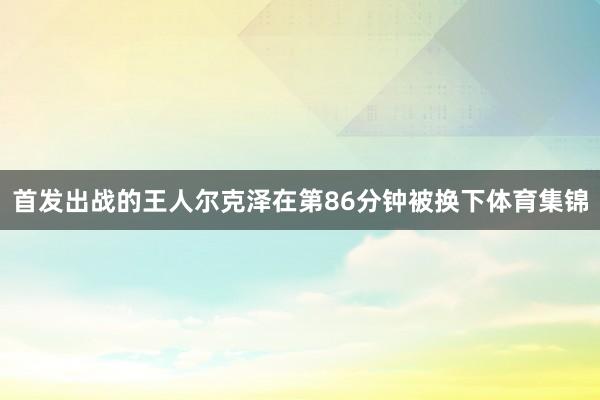 首发出战的王人尔克泽在第86分钟被换下体育集锦