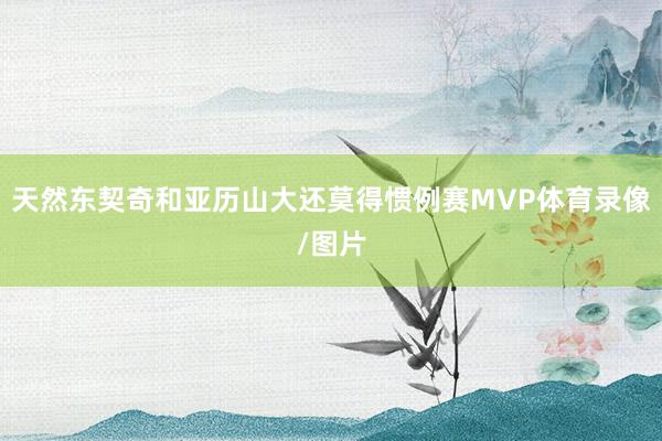 天然东契奇和亚历山大还莫得惯例赛MVP体育录像/图片