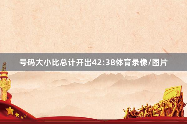 号码大小比总计开出42:38体育录像/图片